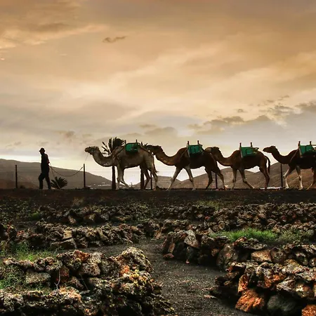 Home2book Cute Alexia Puerto Del Carmen, Terrace פוארטו דל כרמן