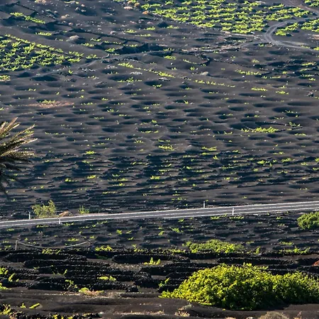 Home2book Cute Alexia Puerto Del Carmen, Terrace
