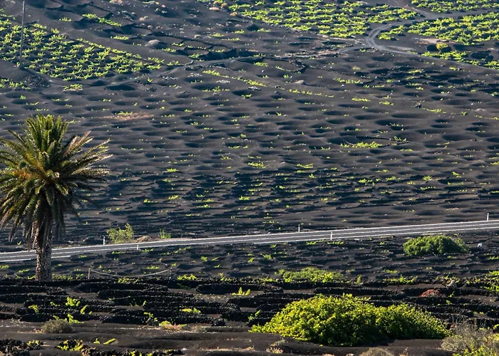 Home2book Cute Alexia Puerto Del Carmen, Terrace